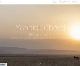 site yannick cherel