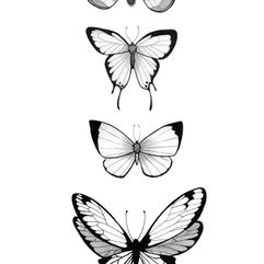 page-papillons-noir-et-couleurs-01