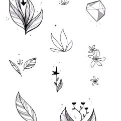 page-plantes2